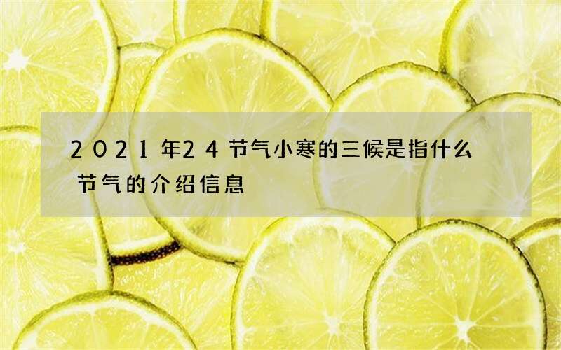 2021年24节气小寒的三候是指什么 节气的介绍信息